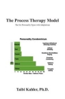 Process Therapy Model